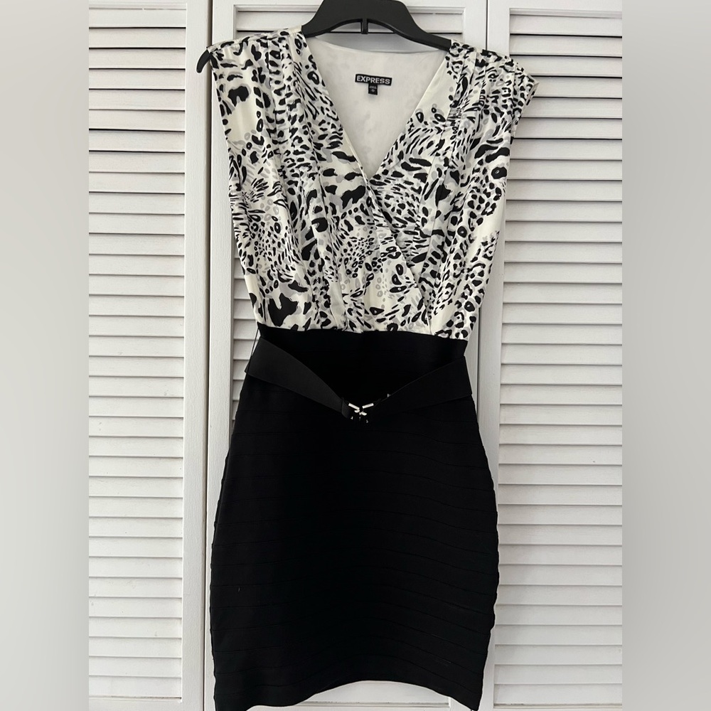Express Dress
